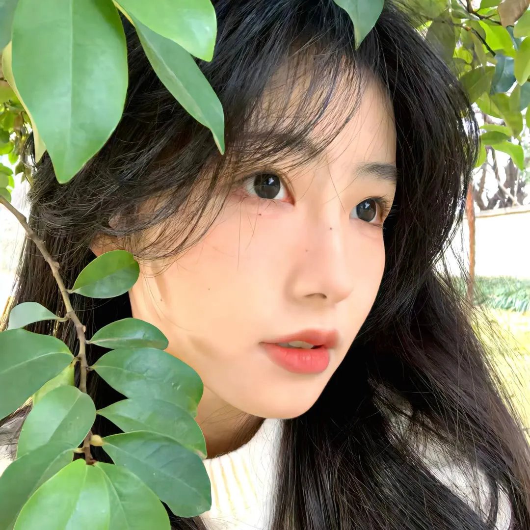 恋爱缺席的罗曼史